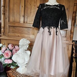 Elegant TS COUTURE Dress. Black Lace Bodice With Dusty Rose Tulle Skirt